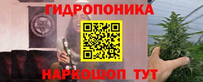 ECSTASY Будённовск