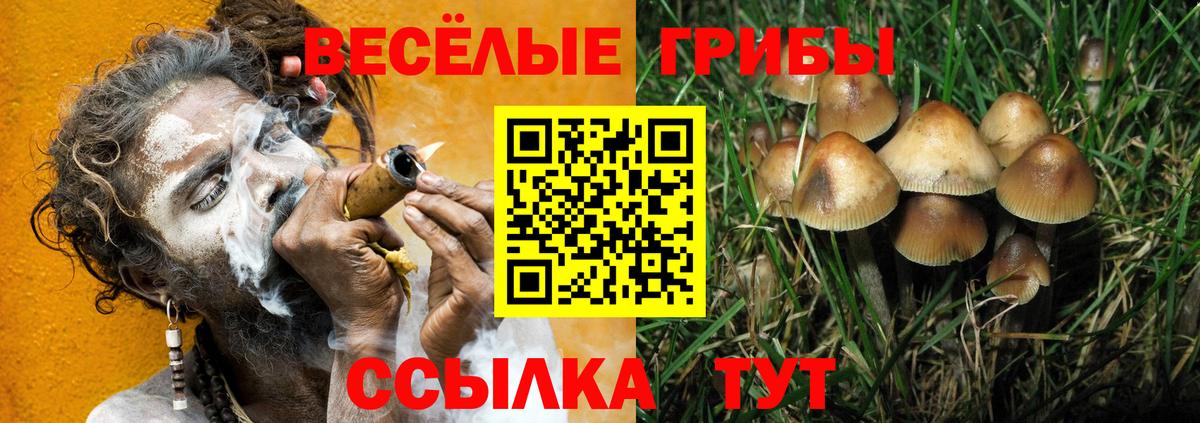 Псилоцибиновые грибы мицелий  Вход с VPN  Нижний Новгород  Псилоцибиновые грибы прущие грибы 